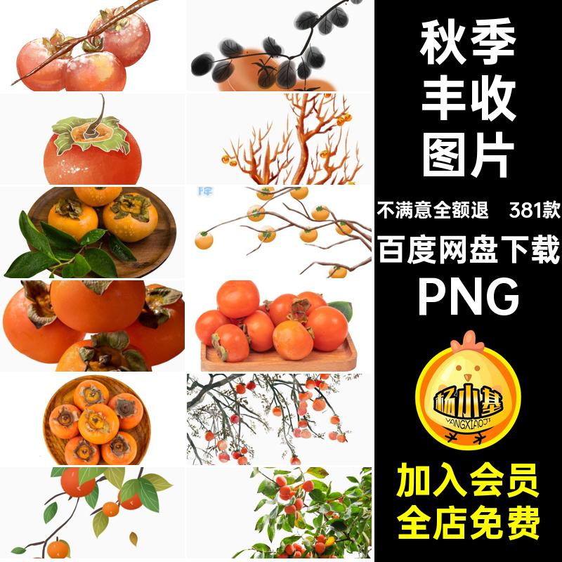秋季丰收图片立秋免抠图片柿子手绘果树插画素材PNG卡通381款果实