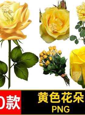 黄色花朵素材期前玫瑰花花瓣50款png免抠PNGps剪影手绘卡通情人节