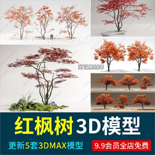 红枫树枫叶树鸡爪槭色叶树3D模型红枫景观树造形树造造景树3D模型