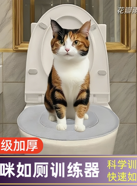 猫用可拆卸拉屎训练盆