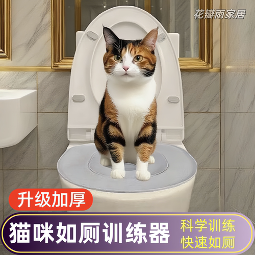 猫用可拆卸拉屎训练盆