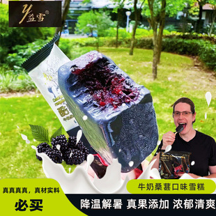 益雪老八里桑葚雪糕草莓雪糕黄桃雪糕冰淇淋冷饮供暖储备