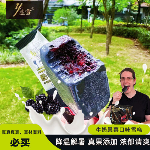 益雪老八里桑葚雪糕草莓雪糕黄桃雪糕冰淇淋冷饮供暖储备