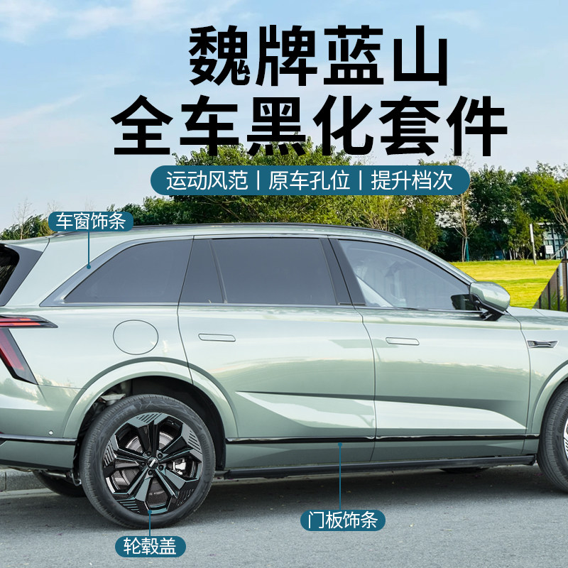 23-25款魏牌蓝山黑化套件全车身亮条车标行李条黑武士叶子板改装