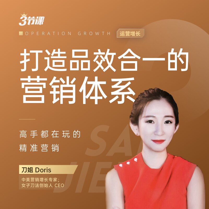 打造品效合一的营销体系 三节课 3节课 刀姐视频教程网课资料