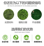 Моделирование растения стена зеленое растение зеленое растение стена стена псевдо -белокальная трава