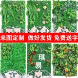 Моделирование растения стена зеленое растение зеленое растение стена стена псевдо -белокальная трава