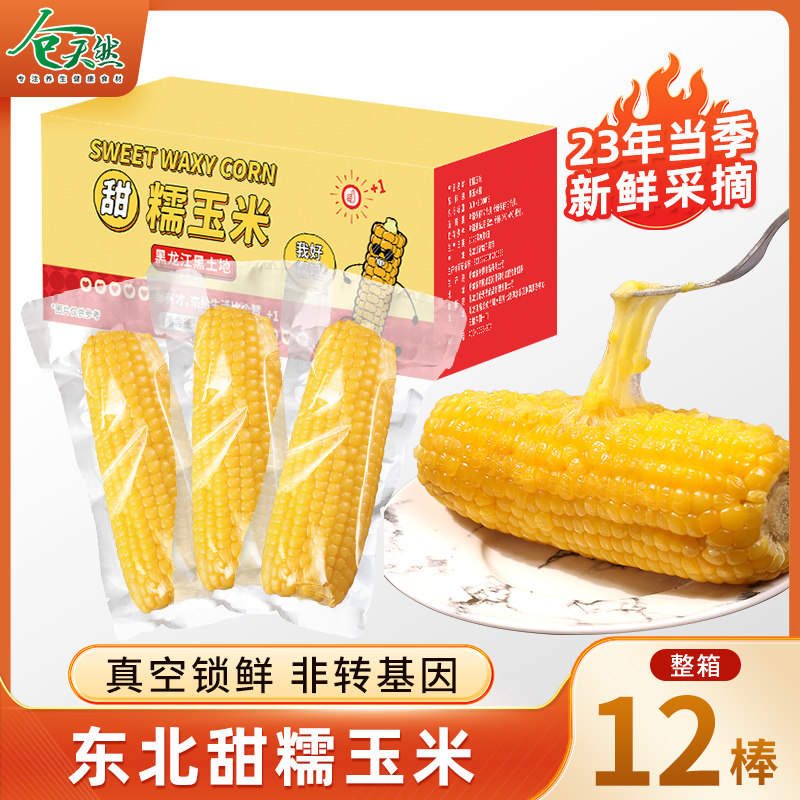 12支东北糯玉米新鲜真空包装现摘黄黏玉米棒低脂肪非即食粗粮代餐