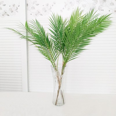 仿真植物棕榈叶 竹葵椰树叶文竹草散尾葵叶  绿色植物装饰铁树叶