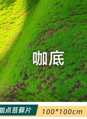 真苔藓草皮苔藓块青苔植绒微景观布置摆件草坪软装造景毛石头