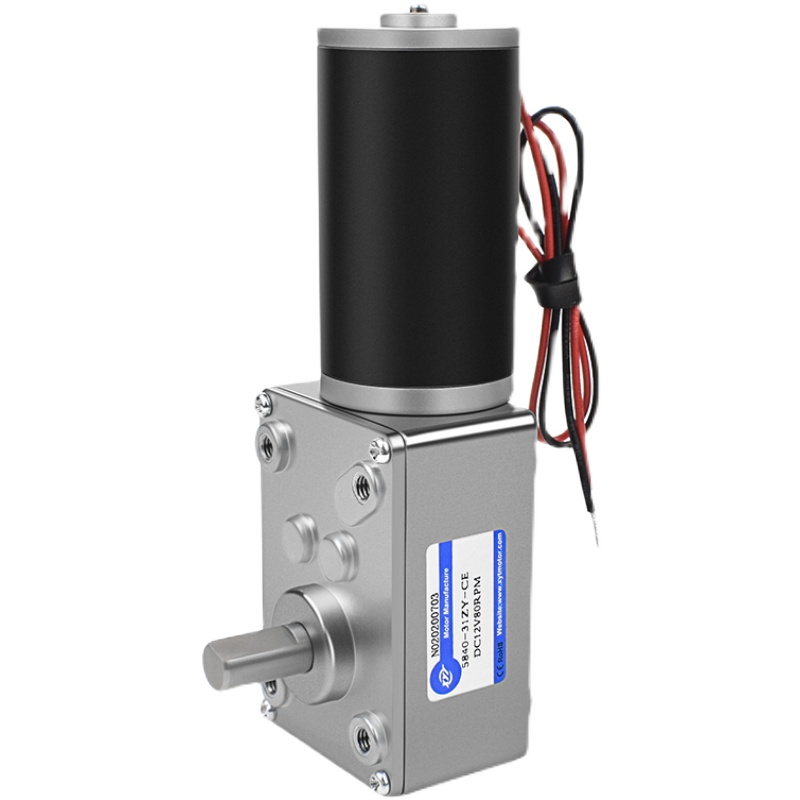 大扭力直角5840-31ZY蜗轮蜗杆微小型马达12v24v调V速直流减速电机