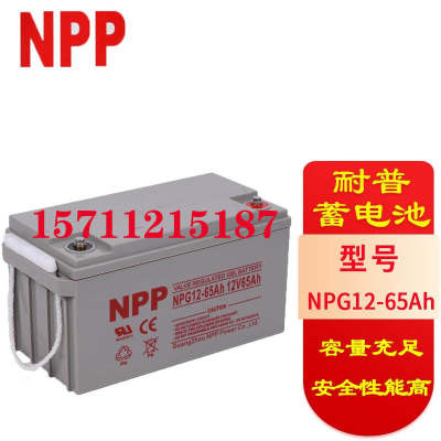 耐普NPG12V-17 24 38 55 65AH太阳能胶体消防风力发电UPS蓄电池