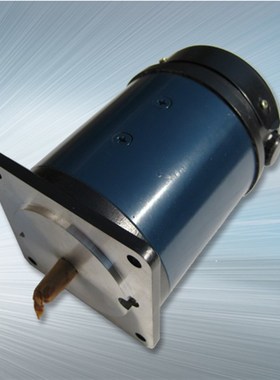 90ZYT102 山东淄博博山永磁直流马达 (220V,125W,1500R)量大从优