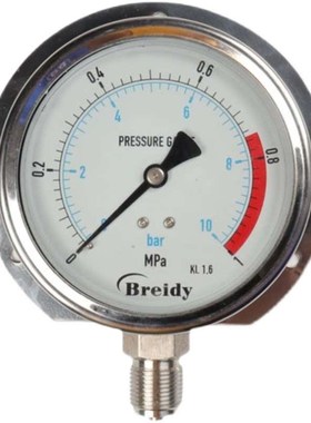 船用压力表YN100T径向带边不锈钢压力表0-1.6MPa水压气压3/8 1/2