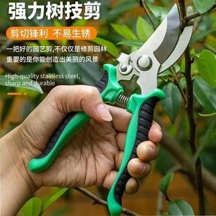 修枝剪刀果树剪刀家用剪花卉摘果剪树枝剪刀绿化嫁接园林园艺剪刀