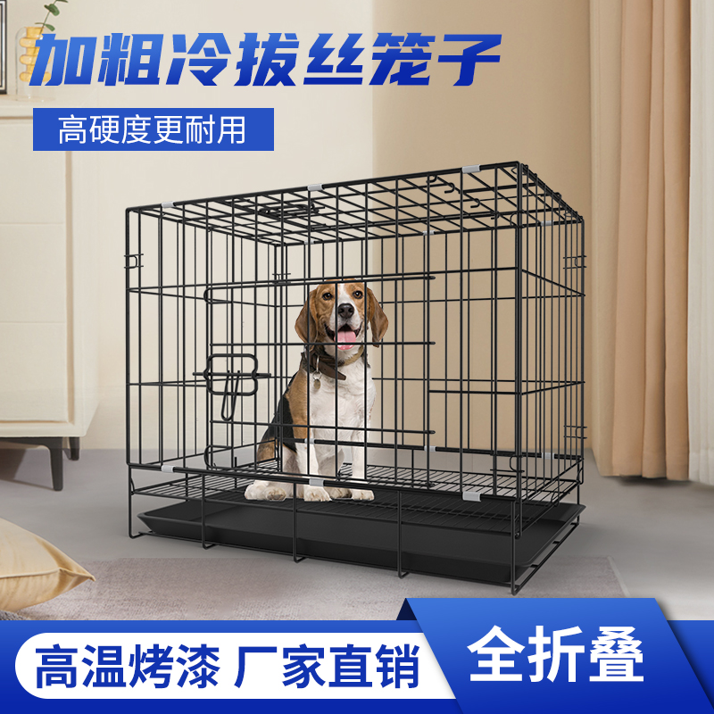 狗笼子中小型犬泰迪柯基
