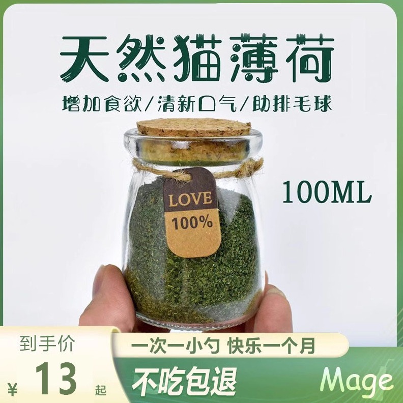 2023年实惠新店铺可食用猫薄荷