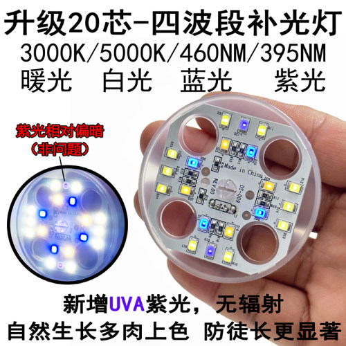 5428型加高加深底盘苗木育苗托盘闷养培育箱塑料保温湿植物御寒箱
