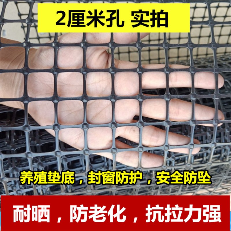 拦鸡养殖网塑料格栅网鸡鸭鹅漏粪网方格黑色塑料网菜地围栏防护网