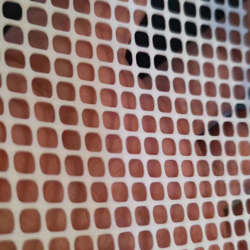 小方孔透明好塑胶网压平平面塑胶网格网干净养殖网片格栅网眼板细