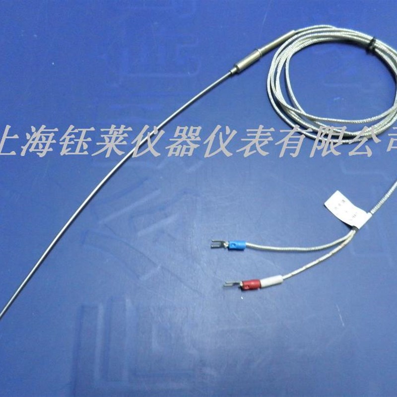 K型铠装热电偶 热电阻 温度传感器 感温探头 微细热电偶WRNT-191