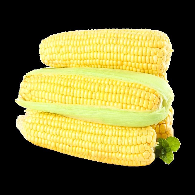 广西水果玉米新鲜9斤生吃爆浆甜玉米棒子苞谷米现摘糯包邮嫩蔬菜,工业油品/胶粘/化学/实验室用品,实验室漏斗,淘宝优惠券,粉丝福利购,淘宝优惠卷