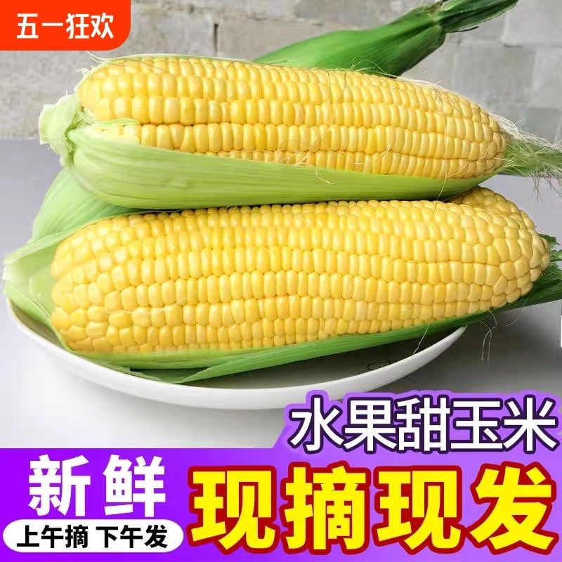 应季新鲜现摘水果玉米9斤生吃甜棒子2斤爆浆苞谷米下拉详情领优惠,工业油品/胶粘/化学/实验室用品,实验室漏斗,淘宝优惠券,粉丝福利购,淘宝优惠卷