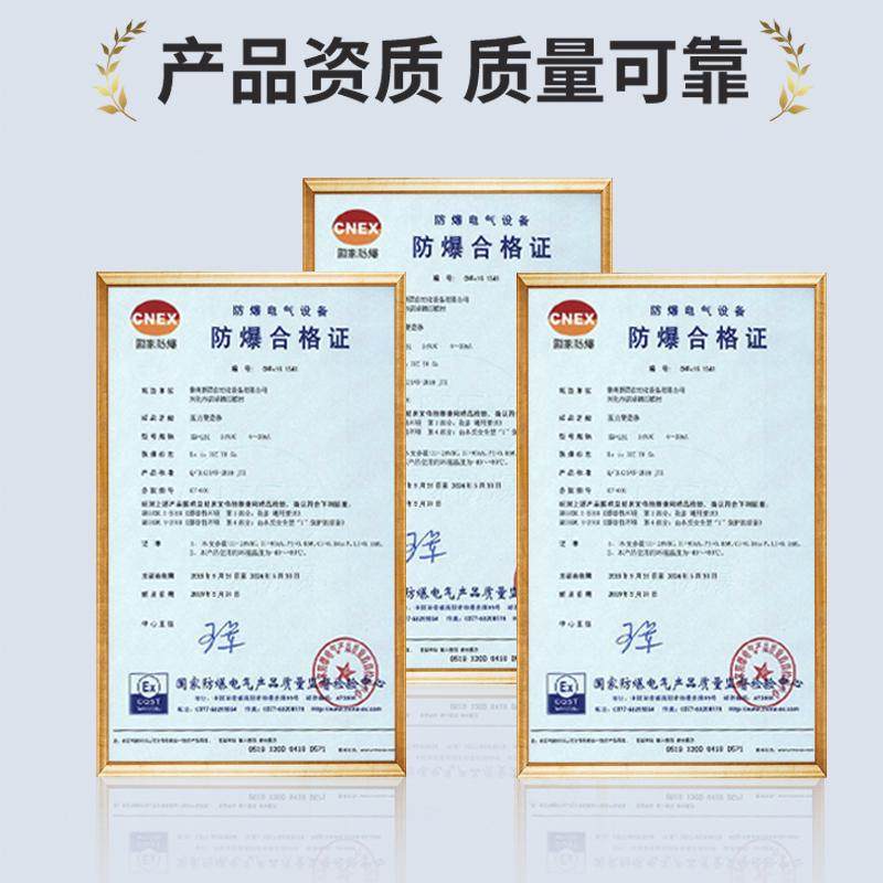 磁翻板远传变送器磁性浮球液位计捆绑式4-20mA干簧管传感器RS485,个性定制/设计服务/DIY,明信片定制,淘宝优惠券,粉丝福利购,淘宝优惠卷