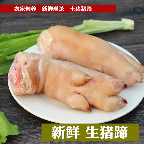 新鲜猪蹄一斤排骨不带肘子