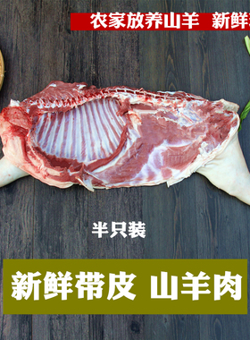 新鲜带皮山羊肉半只羊全羊整羊无皮整只现杀农家放养羊排羊腿蝎子