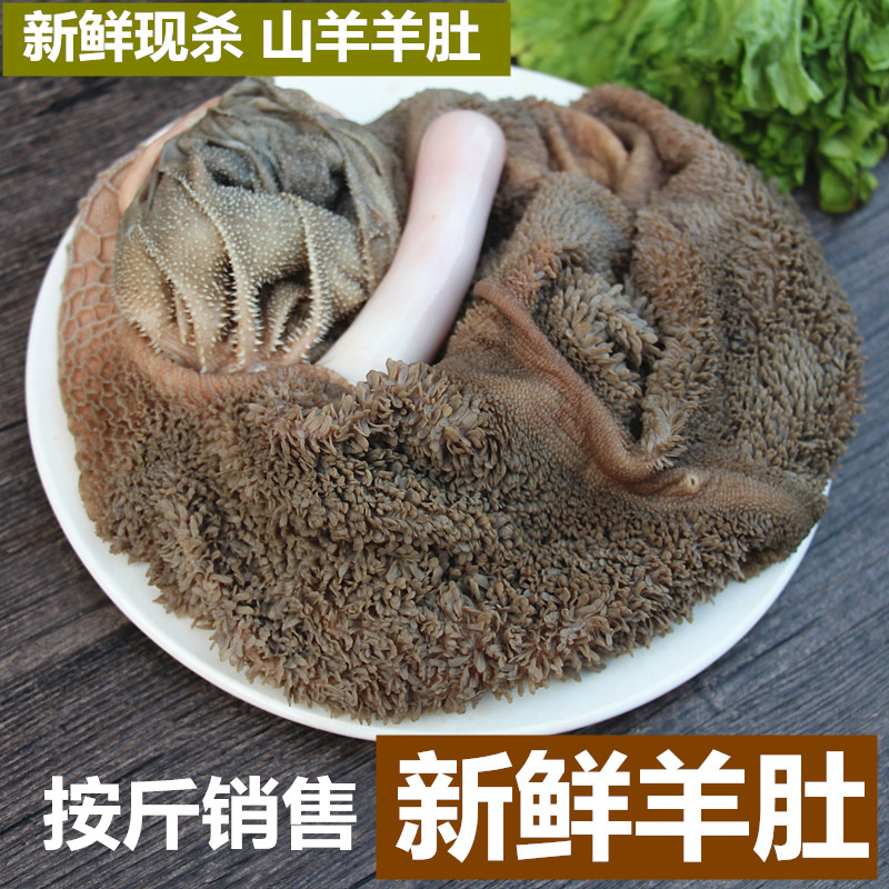 新鲜羊肚500g生羊肚羊杂山羊肚农家散养山羊羊下货羊下水另有羊肠