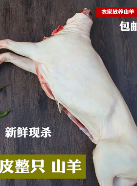 带皮山羊整只羊全羊整羊半只新鲜羊肉农家放养羊排羊腿蝎子无羊杂