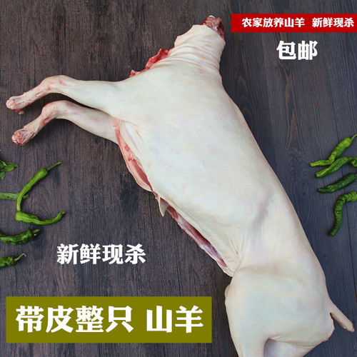 新鲜带皮整只农家放养羊肉