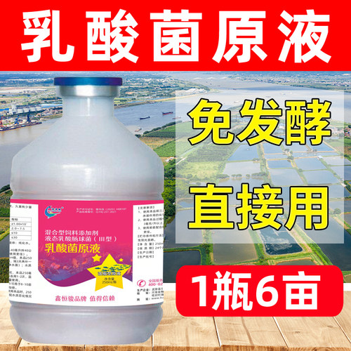 乳酸菌水产养殖鱼虾蟹塘鑫恒骏