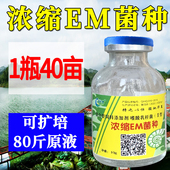 EM菌种老牌子水产养殖调水净水降亚硝酸盐水产鱼塘养龙虾蟹塘浓缩