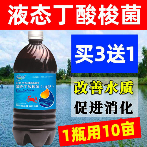 丁酸菌种水产养殖调水促进消化