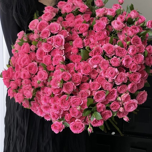 【云舍臻选】苏菲宝贝多头玫瑰  任意组合2单或以上包邮