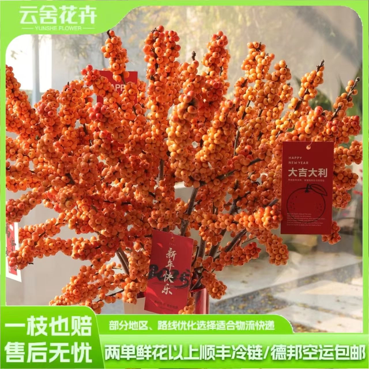 【天物冬青】年宵花材 40cm橙色冬青3支  任意组合两单以上包邮,鲜花速递/花卉仿真/绿植园艺,花材,淘宝优惠券,粉丝福利购,淘宝优惠卷