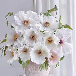 【云舍臻选】油画牡丹 春日限定 坠入凡间的仙女 两单包邮鲜切花