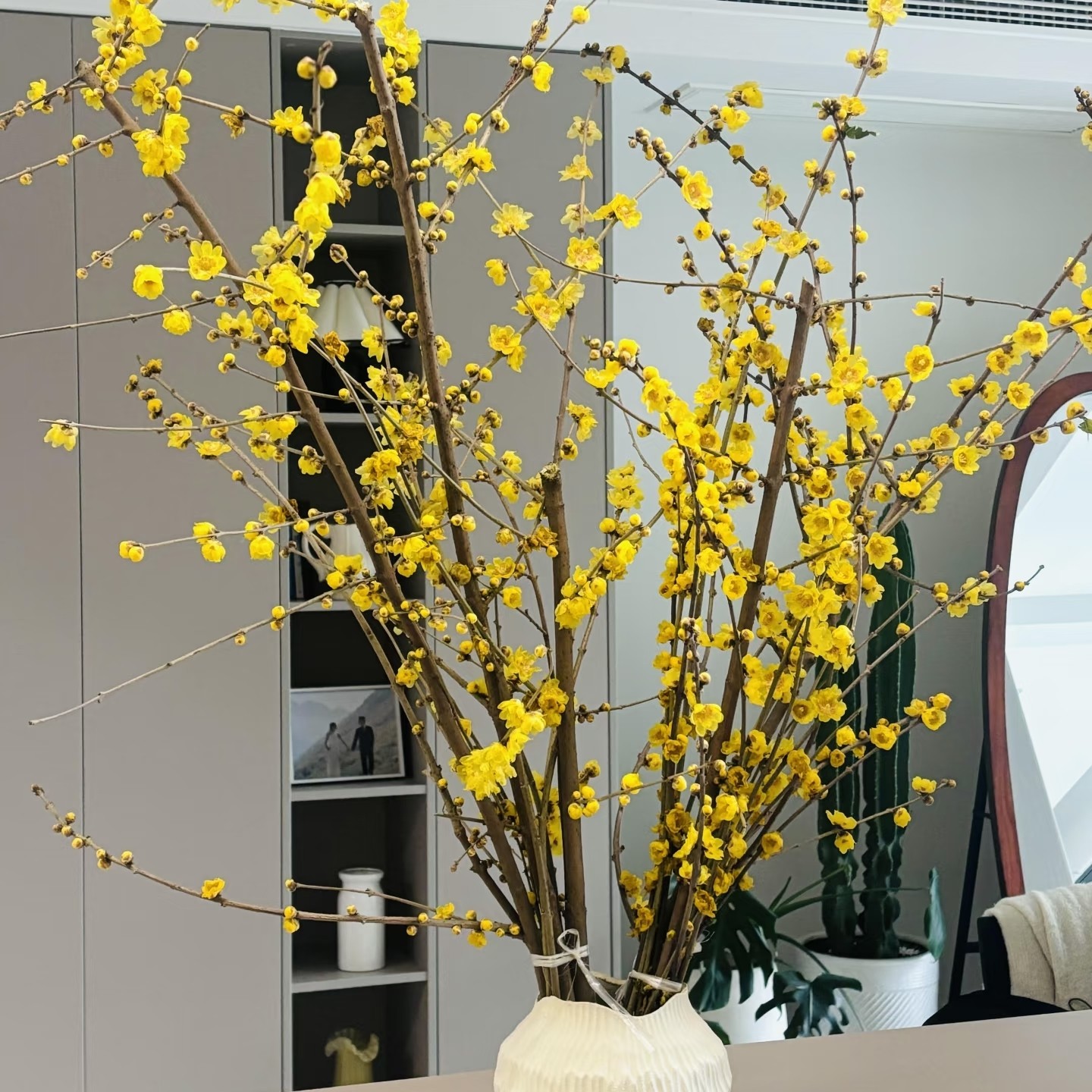 【云舍臻选】中国黄色腊梅 5支一单包邮不参拼单,鲜花速递/花卉仿真/绿植园艺,花材,淘宝优惠券,粉丝福利购,淘宝优惠卷
