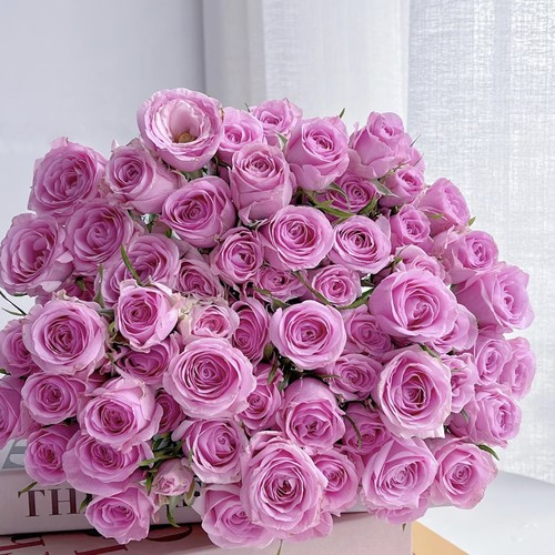 【云舍臻选】【多头】暗恋玫瑰鲜花  任意组合2单或以上冷链包邮