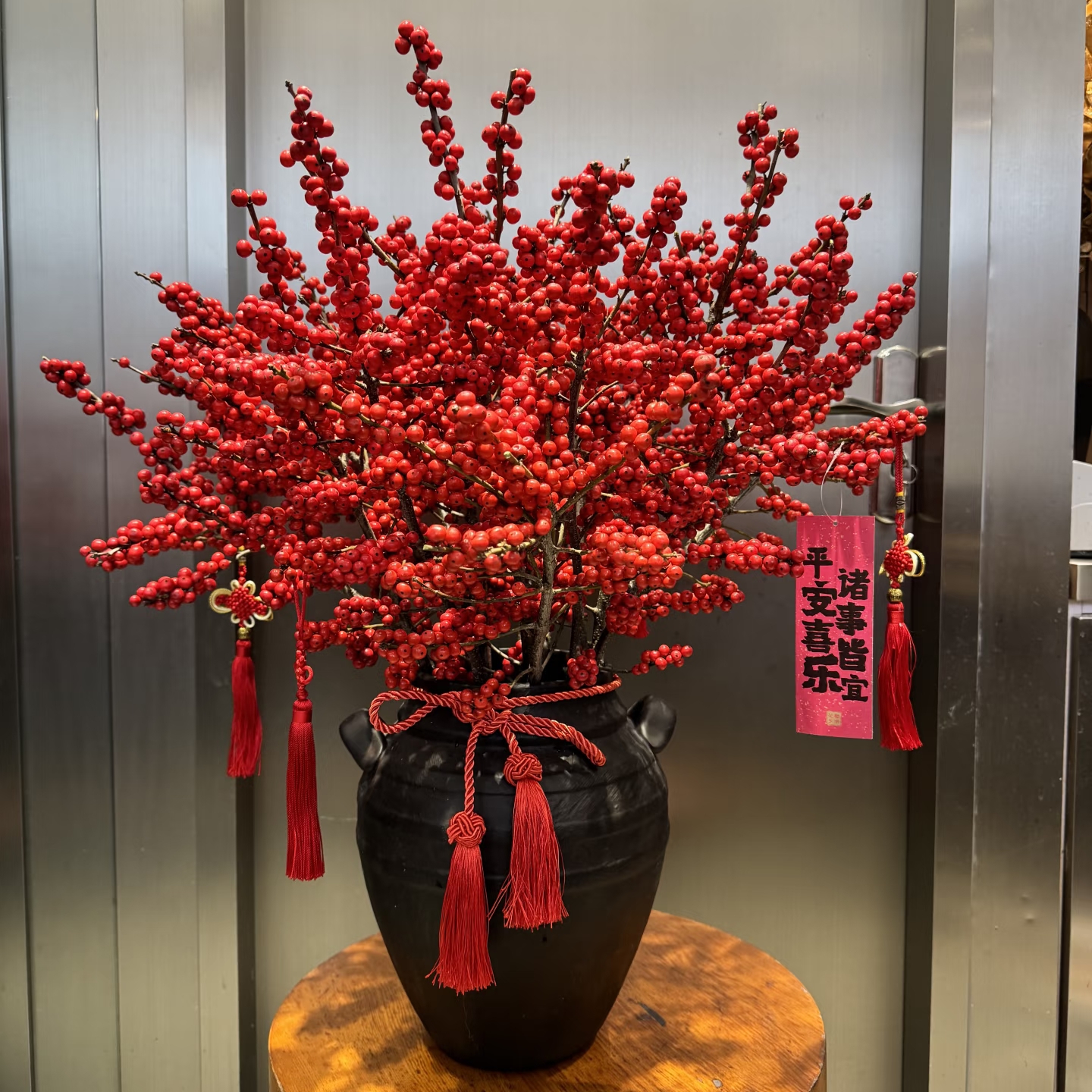 【15天发货】 A级状元红50cm 冬青 3支 1单包邮不参与鲜花凑