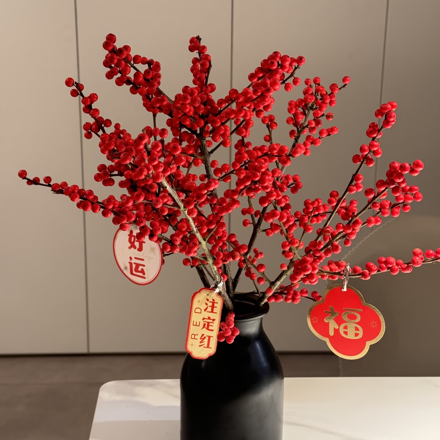 【云南高原北美冬青】60A北美冬青5支 一单包邮