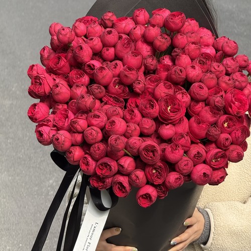 【云舍臻选】AAA+红蕾丝多头玫瑰  任意组合两单或以上冷链包邮