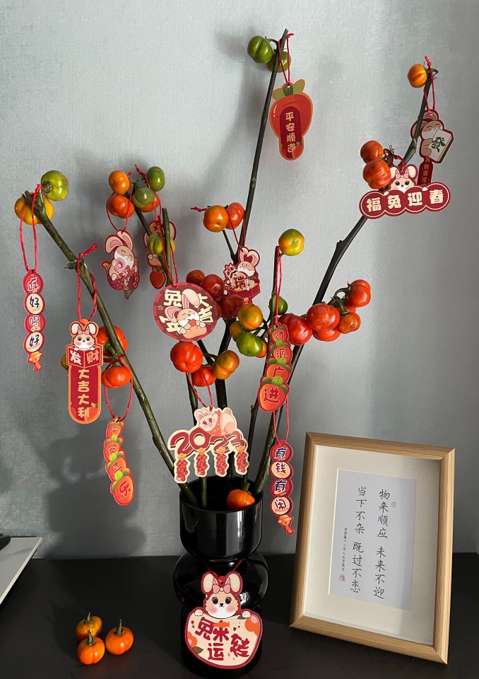 养眼插花小南瓜日常插花通用
