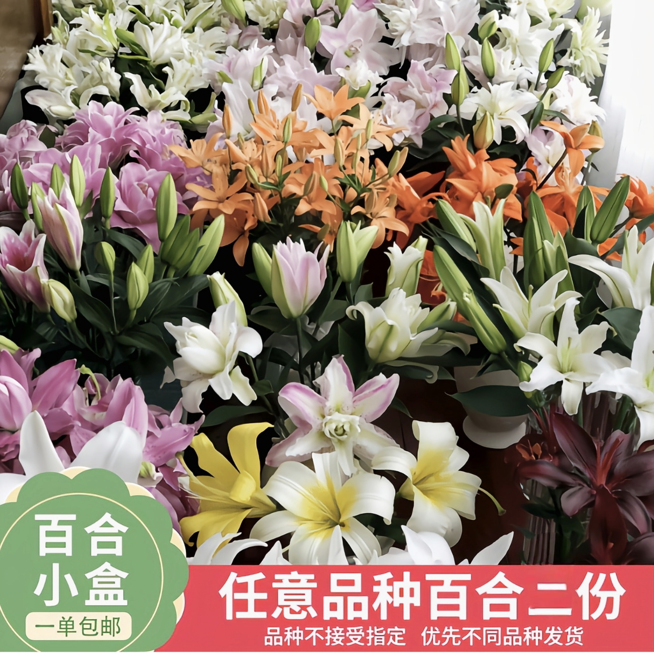 仙女体验盲盒随机2份百合盲盒 单件冷链包邮不指定快递不参与拼单