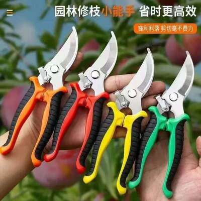 【云舍精选】【园艺花枝剪】随单发 不锈钢强力园林园艺修枝剪