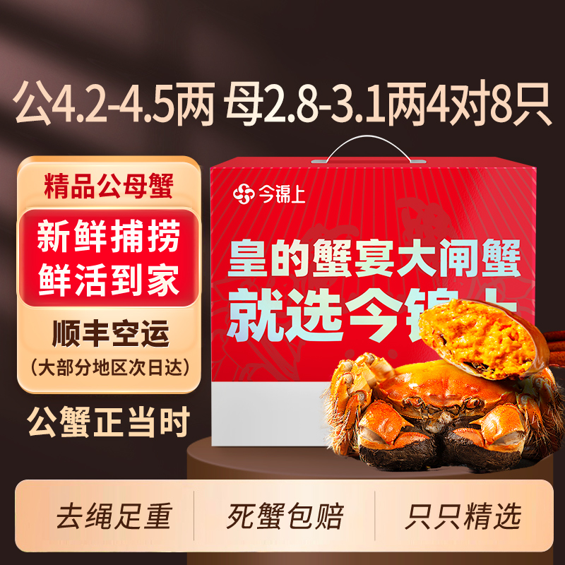 今锦上精品鲜活大闸蟹现货礼盒