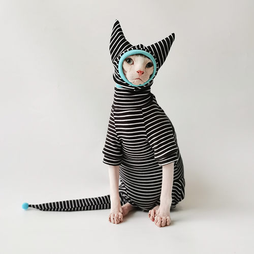 无毛猫德文衣服高品质布料柔软