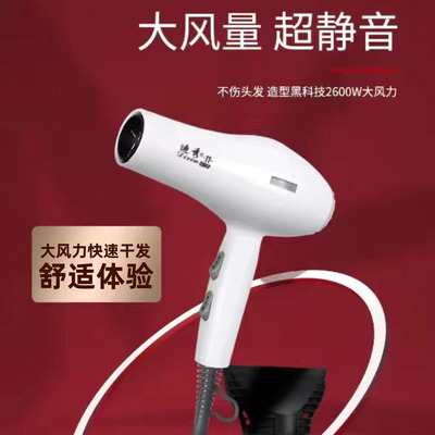 迪秀T23大功率速干吹风机